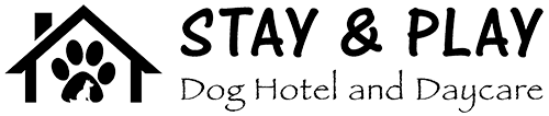 Stay and Play Dogs – Dog Hotel and Day Care